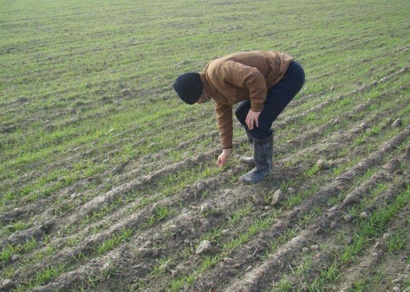 کشاورزان گلستان چشم‌انتظار باران نباشند