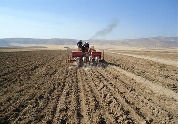 کشت بهاره در مزارع کردستان آغاز شد