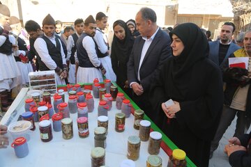 بازدید معاون وزیر میراث فرهنگی از روستای خراشاد