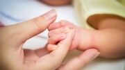 افزون‌بر ۹۰ میلیارد ریال کمک هزینه بارداری در هرمزگان پرداخت شد
