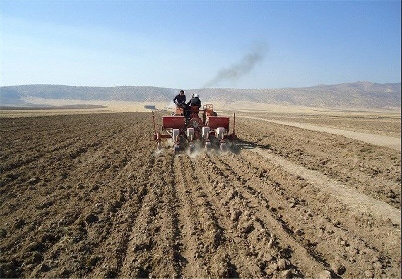 سطح زیر کشت مزارع کشاورزی لنده 2 هزار هکتار افزایش یافت