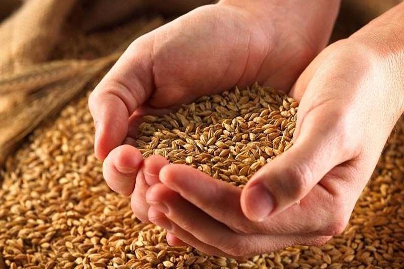 کامیارانی‌های 16 میلیارد ریال زکات پرداخت کردند