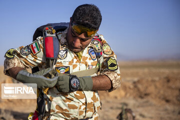 Army ground forces perform maneuver in south Iran