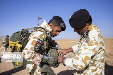 Army ground forces perform maneuver in south Iran