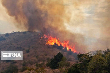 غفلت گردشگران و چوپان‌ها عامل اصلی آتش‌سوزی مراتع سمنان است