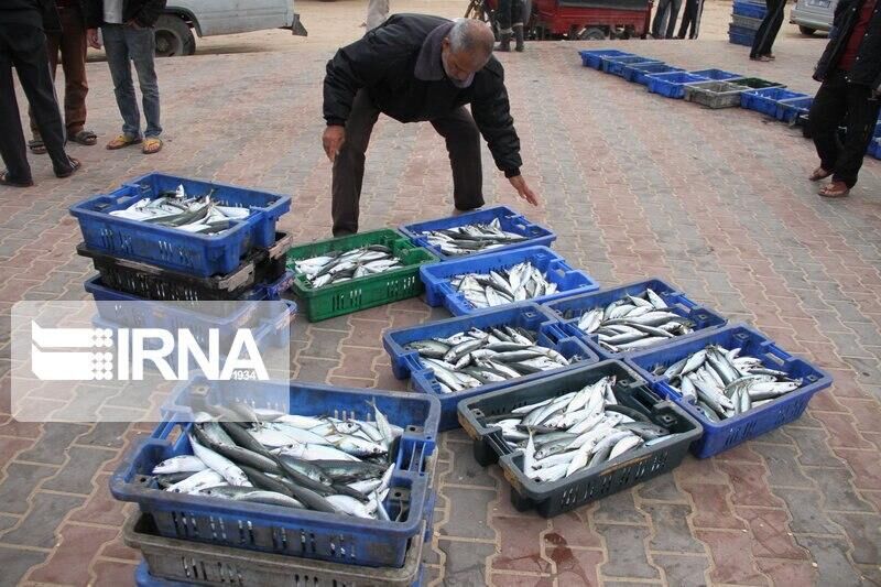 Экспорт 21 тысяча тонн морепродуктов из иранского Бушера за 9 месяцев Экспорт 21 тысяча тонн морепродуктов из иранского Бушера за 9 месяцев