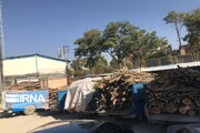 ۴۰ تن چوب قاچاق در مهاباد کشف شد