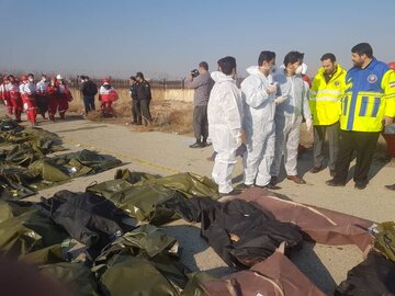 کولیوند: ۱۴۷ ایرانی در سقوط هواپیمای اوکراینی جان باختند