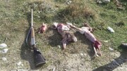 دستگیری شکارچیان غیرمجاز در خراسان جنوبی ۷۵ درصد افزایش یافت