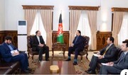 Iran, Afghanistan discuss issues concerning air disaster 