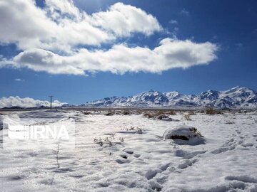 Snow whitens cities in southern Iran