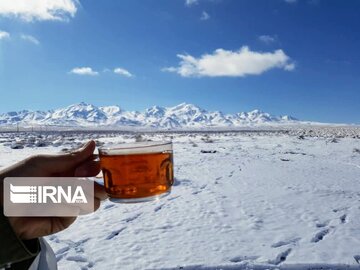 Snow whitens cities in southern Iran