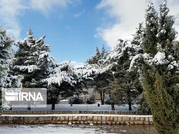 Snow whitens cities in southern Iran