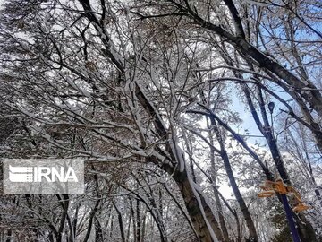 Snow whitens cities in southern Iran