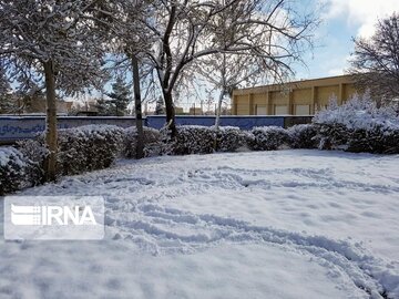 Snow whitens cities in southern Iran