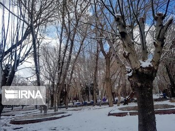 Snow whitens cities in southern Iran