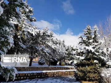 Snow whitens cities in southern Iran