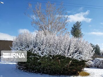 Snow whitens cities in southern Iran