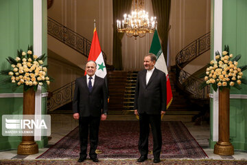 Iran VP welcomes Syria PM in Tehran