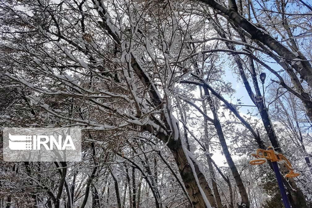 برف و باران برخی مناطق کردستان را فرا می‌گیرد