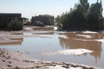 دلگان