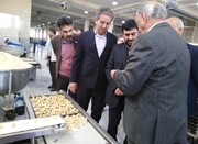 قائم مقام وزیر صنعت از سه واحد تولیدی در یزد بازدید کرد