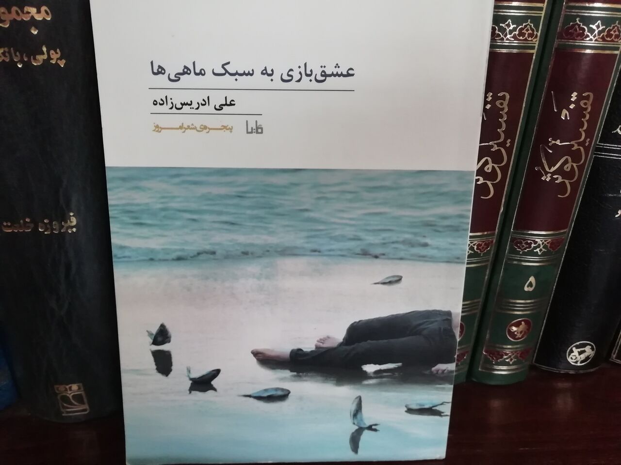 روایتی از ز ندگی بشر امروزی در مجموعه شعر «عشق‌بازی به سبک ماهی‌ها» 