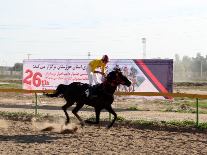بیست و ششمین جشنواره اسب اصیل عرب دراهواز