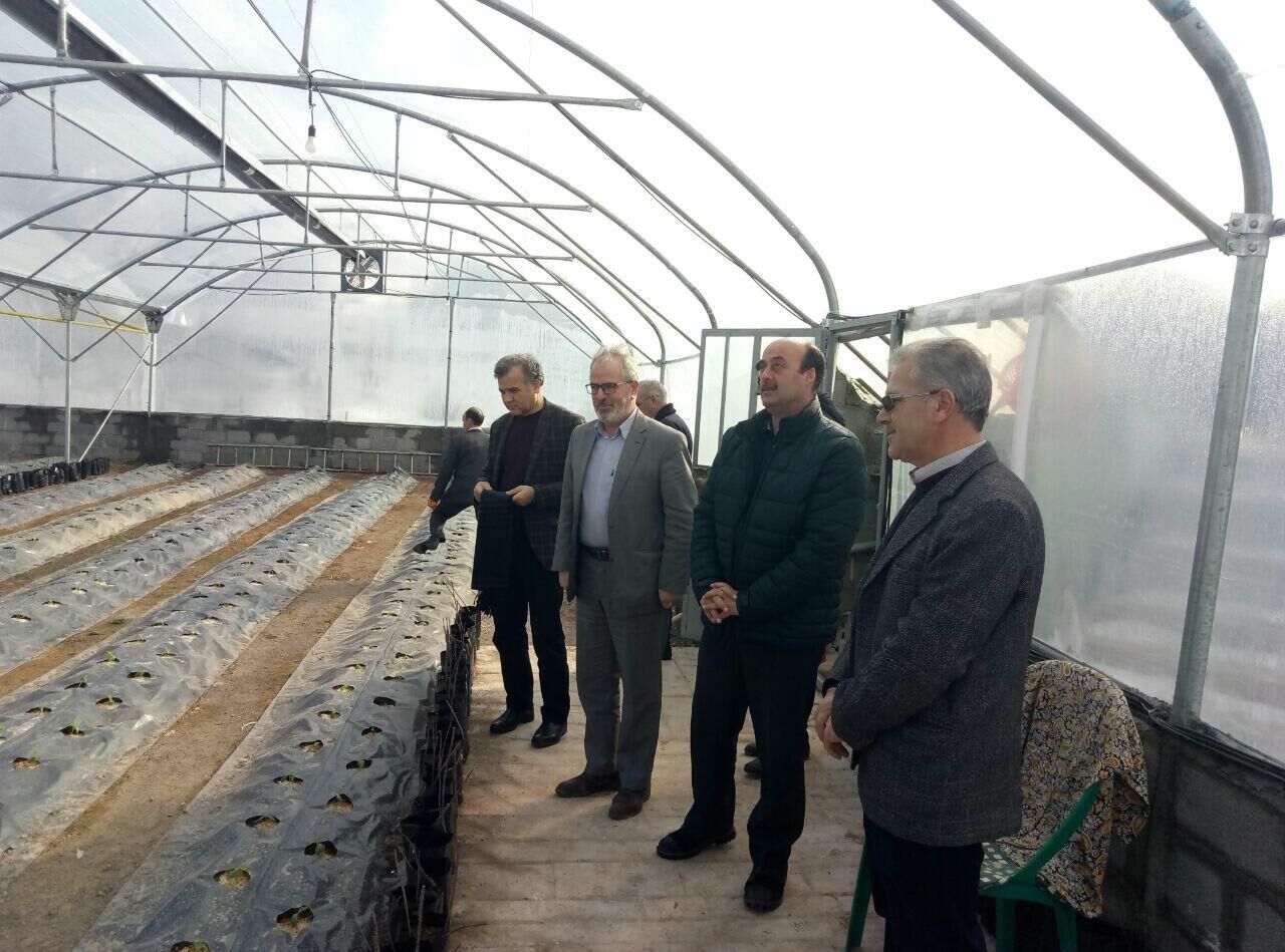 اجرای طرح ملی احداث گلخانه‌های کوچک مقیاس در اردبیل 