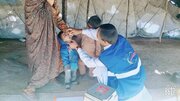 واکسیناسیون فلج اطفال کودکان غیرایرانی در قم آغاز شد