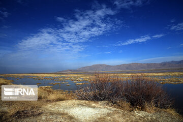 Kamjan Marsh in southern Iran