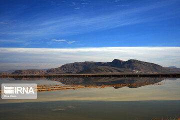 Kamjan Marsh in southern Iran