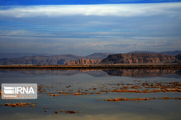 Kamjan Marsh in southern Iran