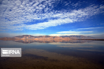 Kamjan Marsh in southern Iran