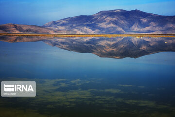 Kamjan Marsh in southern Iran