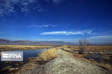 Kamjan Marsh in southern Iran