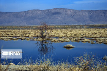 Kamjan Marsh in southern Iran