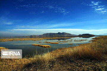 Kamjan Marsh in southern Iran