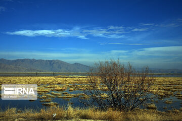 Kamjan Marsh in southern Iran