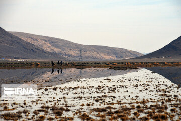 Kamjan Marsh in southern Iran