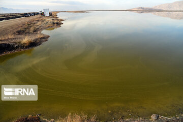 Kamjan Marsh in southern Iran