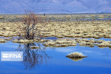 Kamjan Marsh in southern Iran