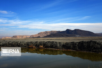 Kamjan Marsh in southern Iran