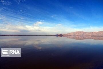 Kamjan Marsh in southern Iran