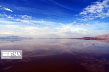 Kamjan Marsh in southern Iran