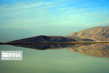 Kamjan Marsh in southern Iran