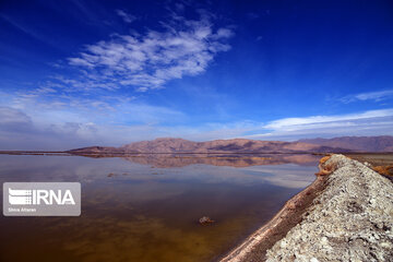 Kamjan Marsh in southern Iran