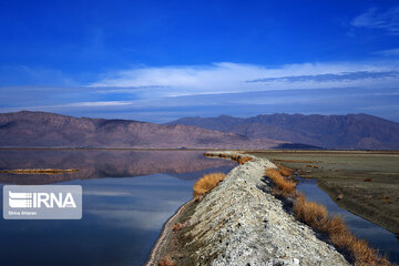 Kamjan Marsh in southern Iran