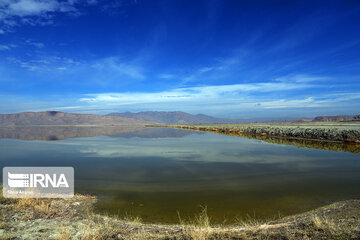 Kamjan Marsh in southern Iran