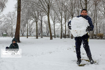 Snowy day in Iranian capital